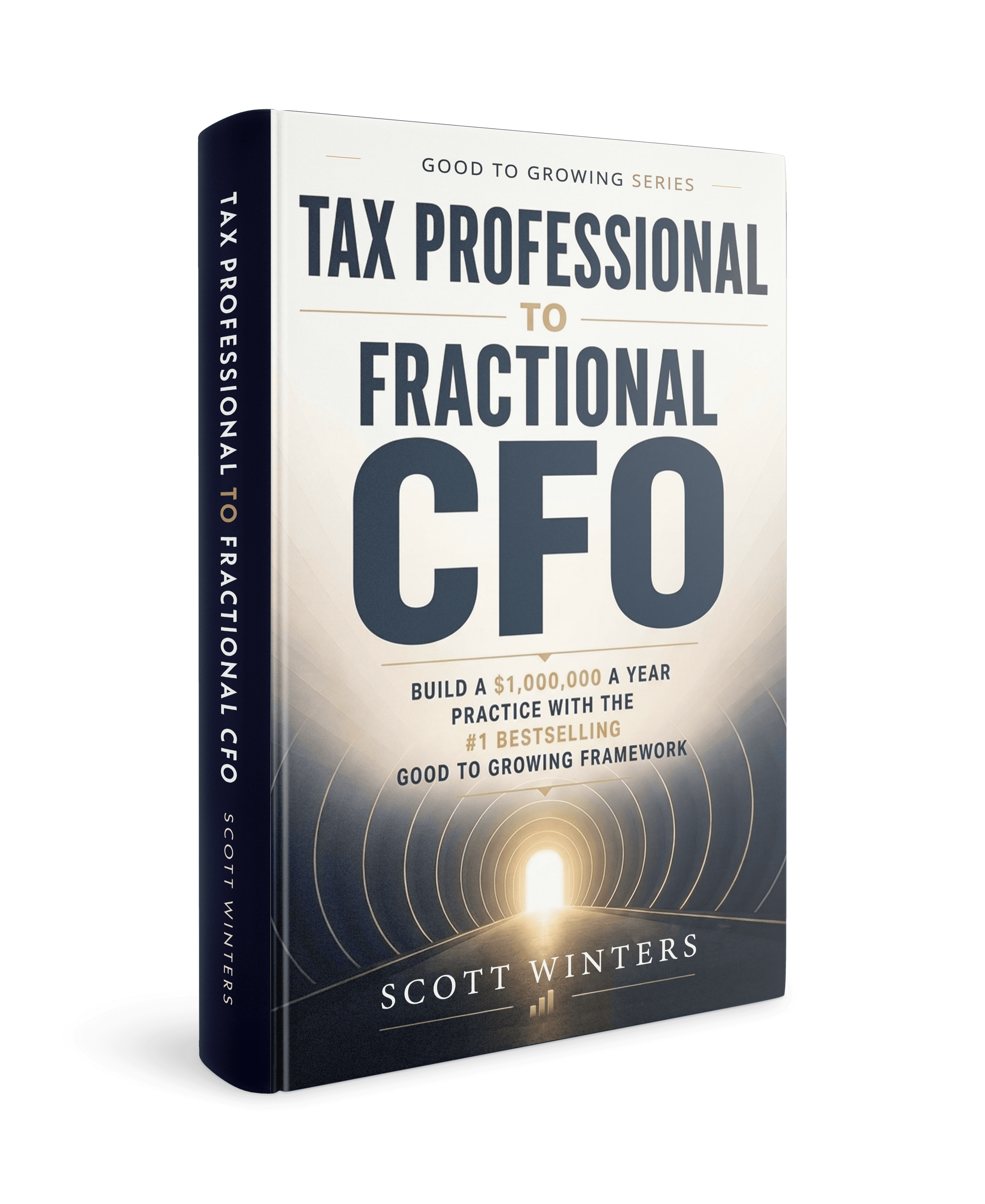 Tax Professional to Fractional CFO book cover
